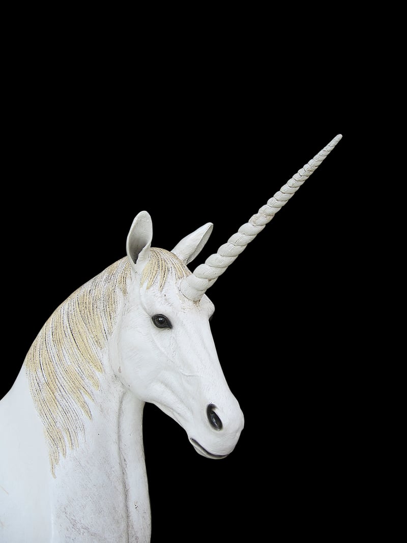 Unicorn Encounters